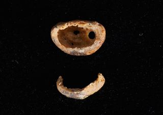 DNA extracted from a finger bone of a Denisovan girl suggested the group shared a common origin with Neanderthals.