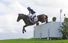 BARBURY-01.jpeg