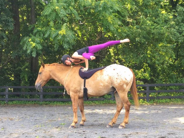 horseyoga3-e1508497584701.jpg