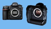 Two Nikon camera bodies side by side.