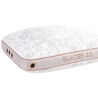 1. Bedgear Glacier Performance Pillow:from $199.99 $159.99 at Bedgear