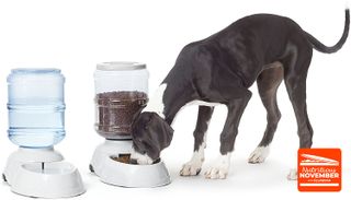 a36 automatic pet feeder
