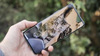 Hand holding phone displaying picture of cat