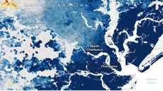 Map of South Carolina and annual vertical land motion, gradient showing sinking coast as dark blue.