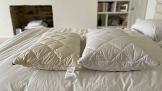 Woolroom Natural Latex Washable Wool Pillow next to the Putnams pillow