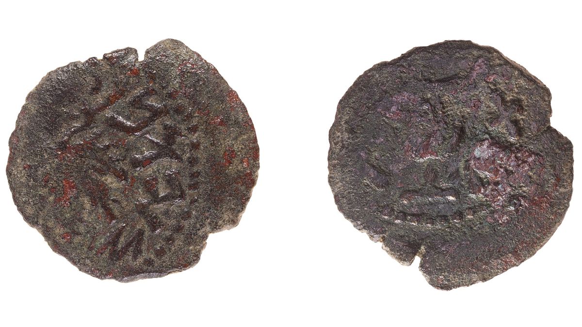 'Freedom of Zion' coins dating to famous Jewish revolt found in the West Bank