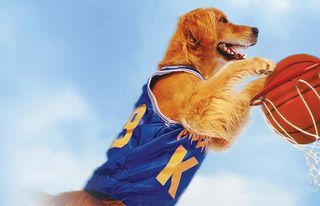 ‘Air Bud’ on Disney Plus