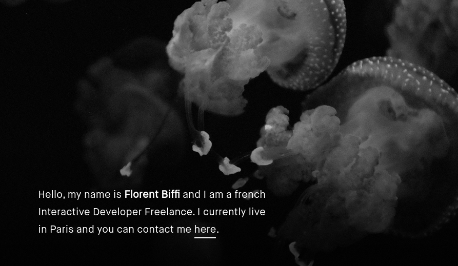 French interactive developer Florent Biffi uses Maison Neue on his portfolio site