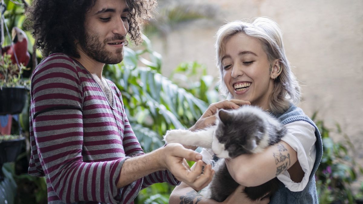 Woman holding a cat while a man holds out a treat