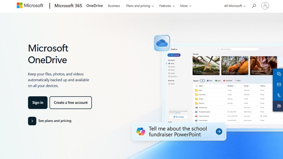 Website screenshot of OneDrive (August, 2025)