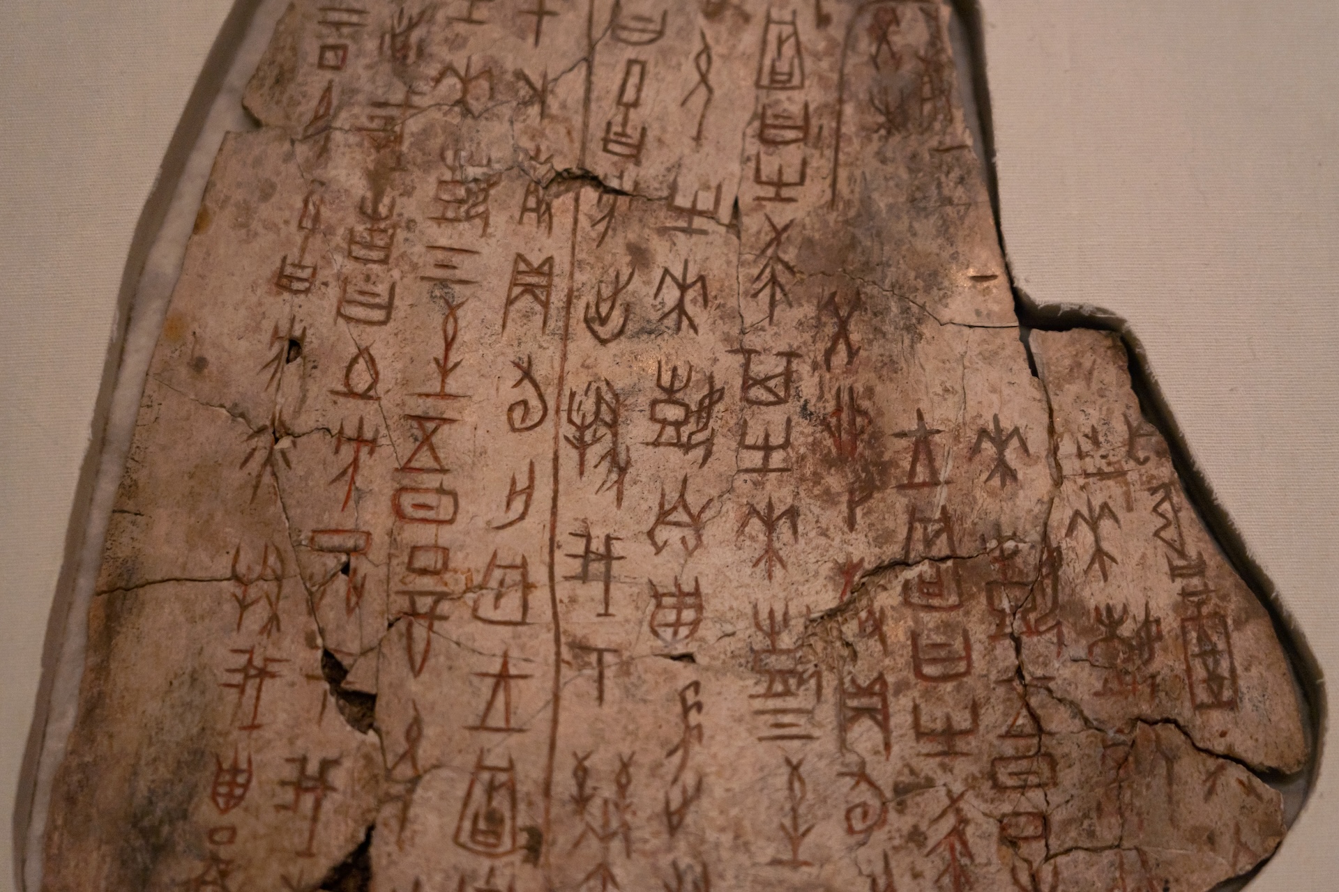 a scapula bone with early Chinese writing on it