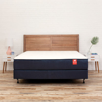 Big Fig mattress: $1,399Highest weight limit!