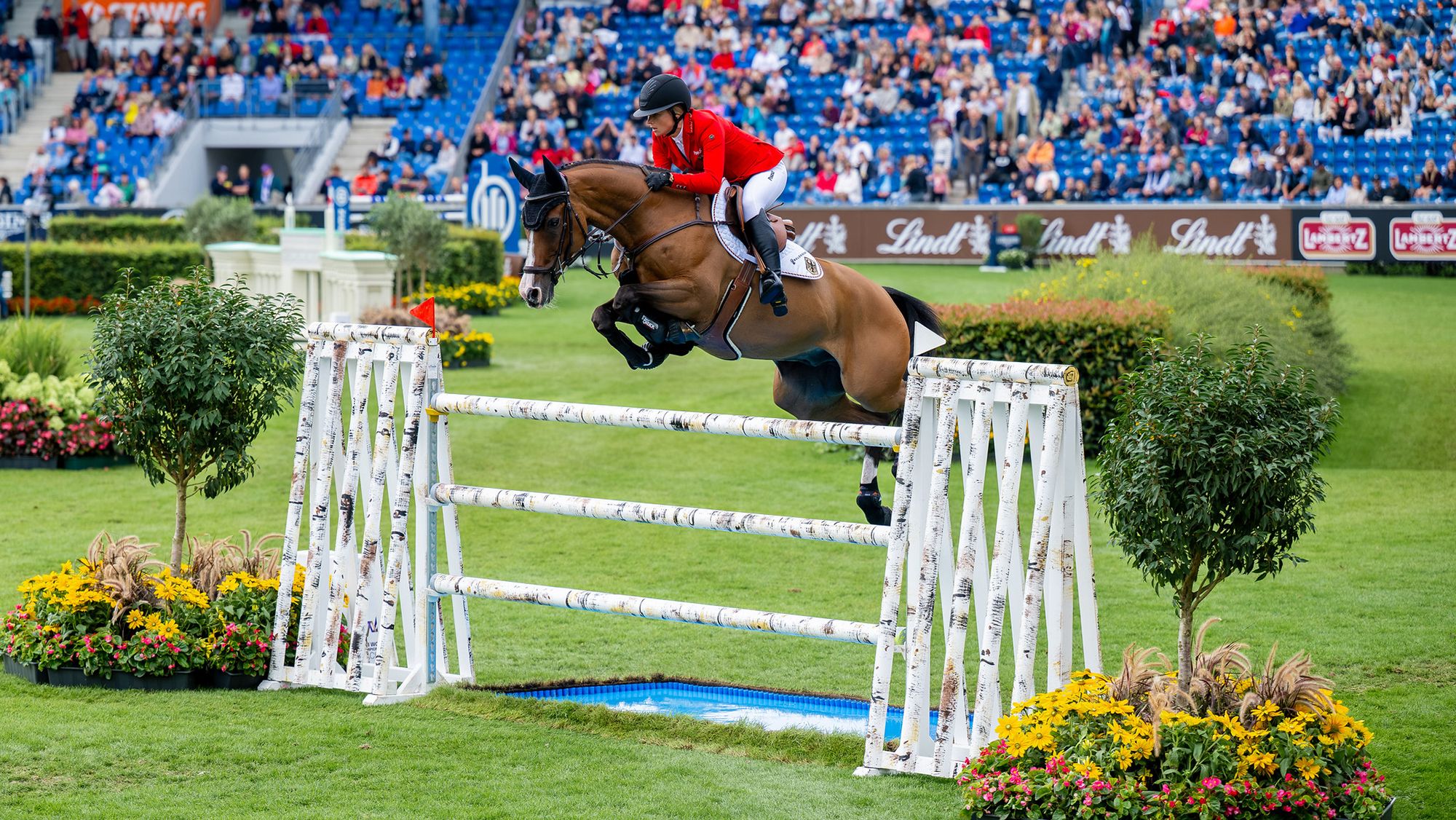 Germany keep team lead in showjumping World Championships