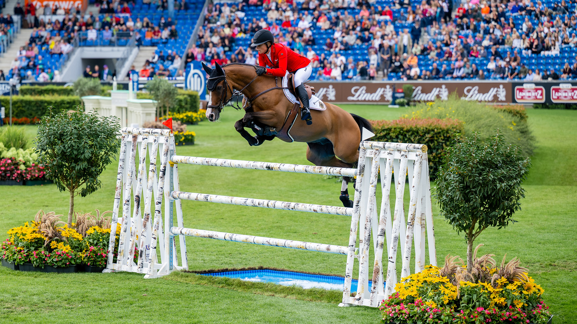 Sophie Hinners and Iron Dames Singclair jump a pale upright fence during the showjumping World Championships in Aachen in 2026. 