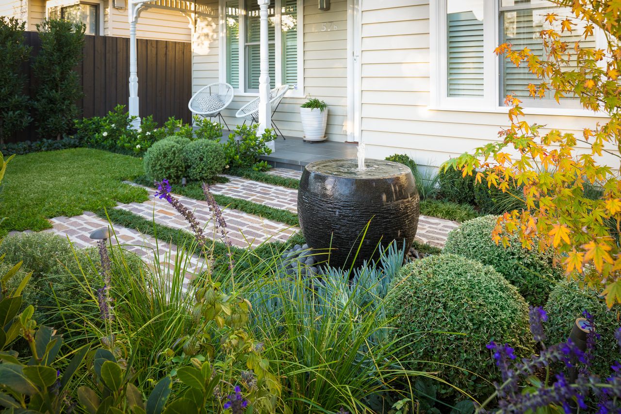 a front yard with natural planting