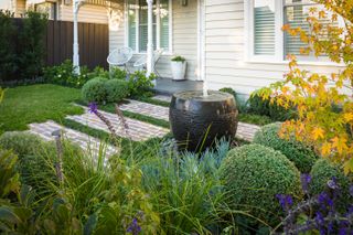 a front yard with natural planting