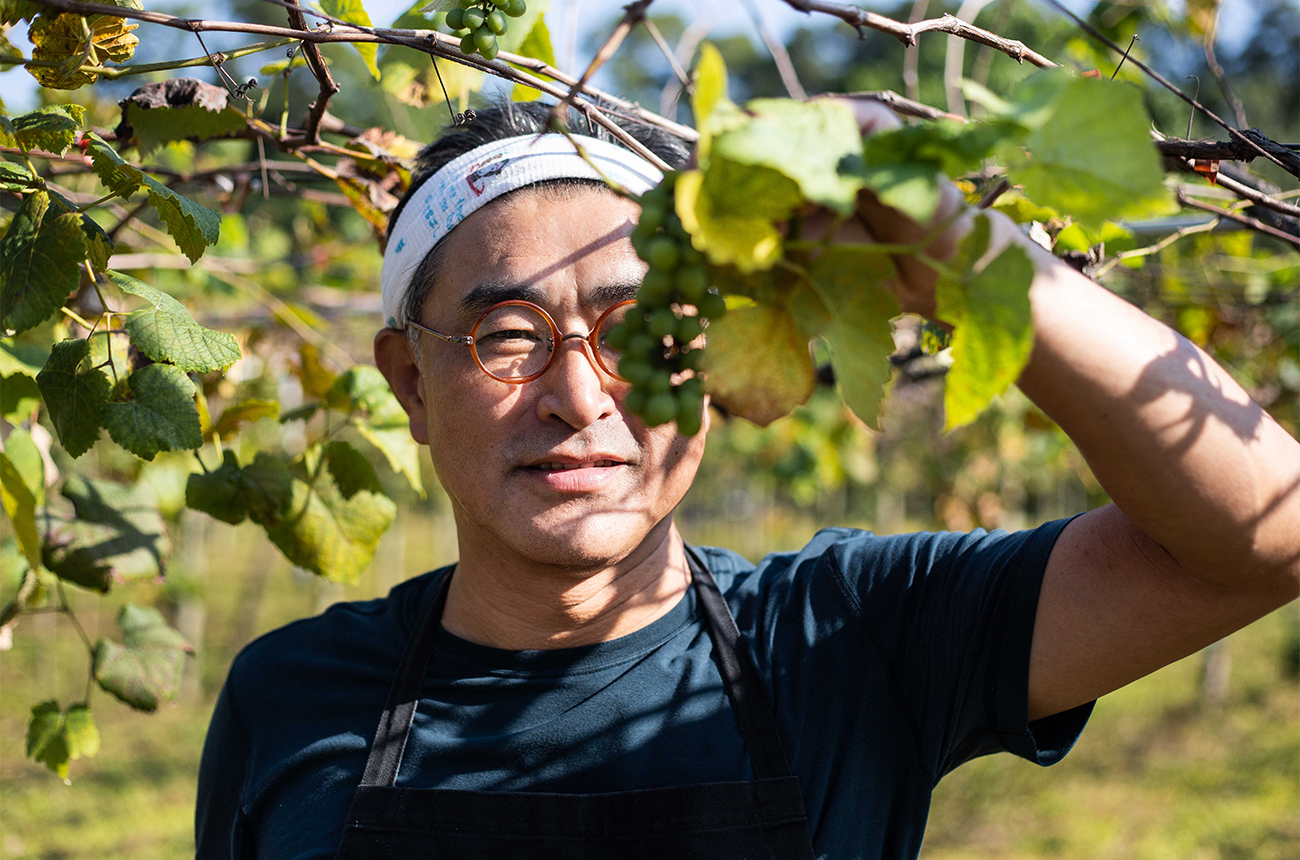 Professor Chen Chien-Hao, a Burgundy-trained winemaker and now a leading academic in Taiwan. Credit: Domaine Shu Sheng