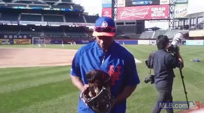 Watch a tiny puppy squirm in Curtis Granderson's baseball mitt