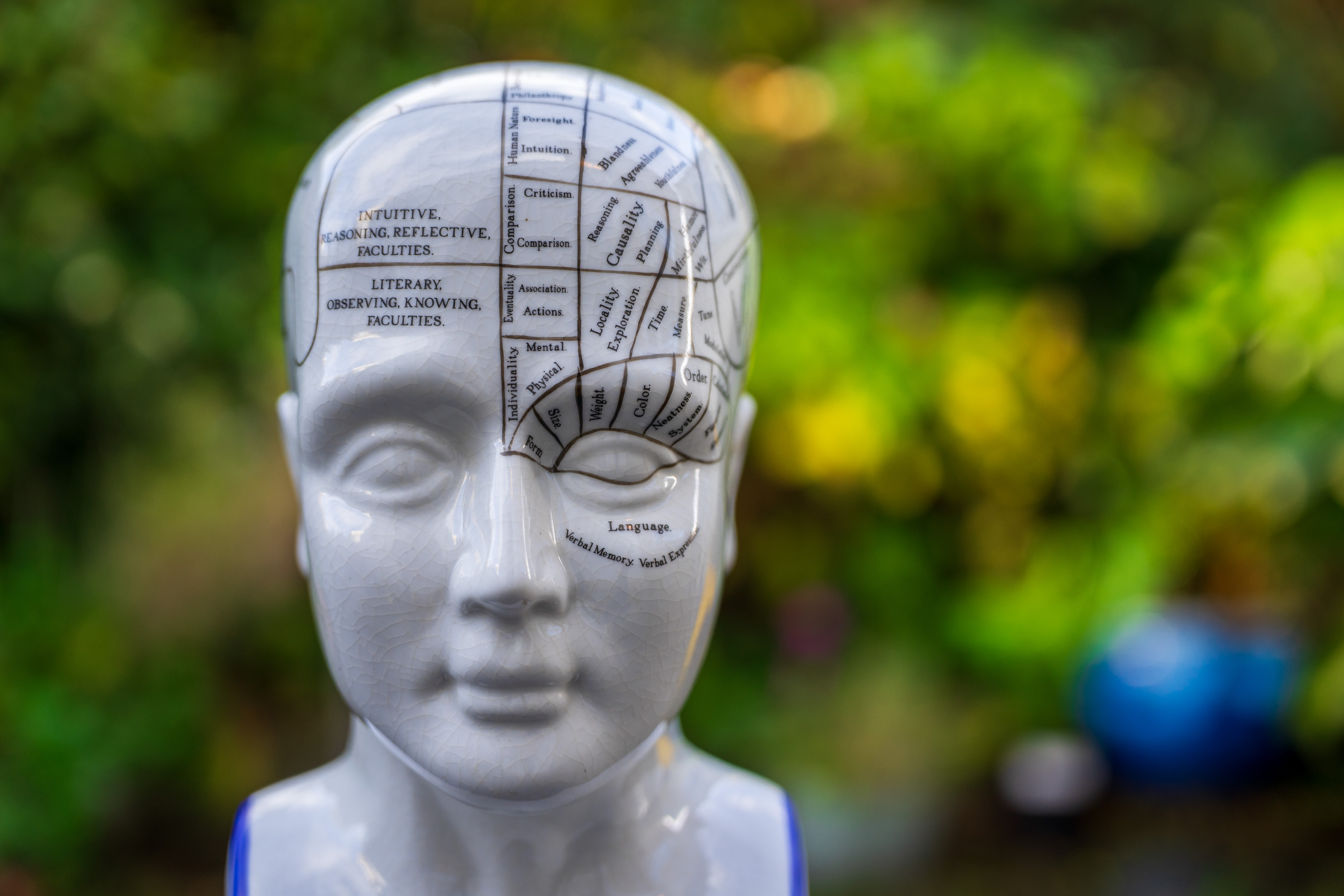 LK Samyang / Rokinon AF 24-60mm f/2.8 FE example shot