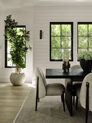 an indoor tree in a dining room