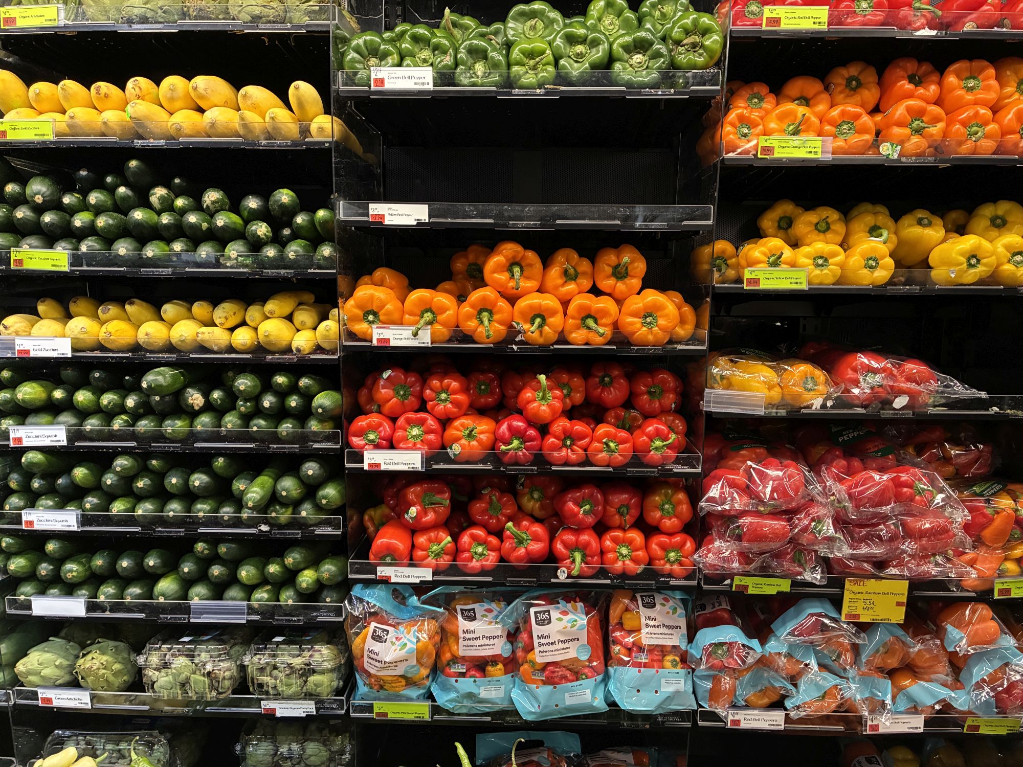 Apple iPhone 16e camera sample.