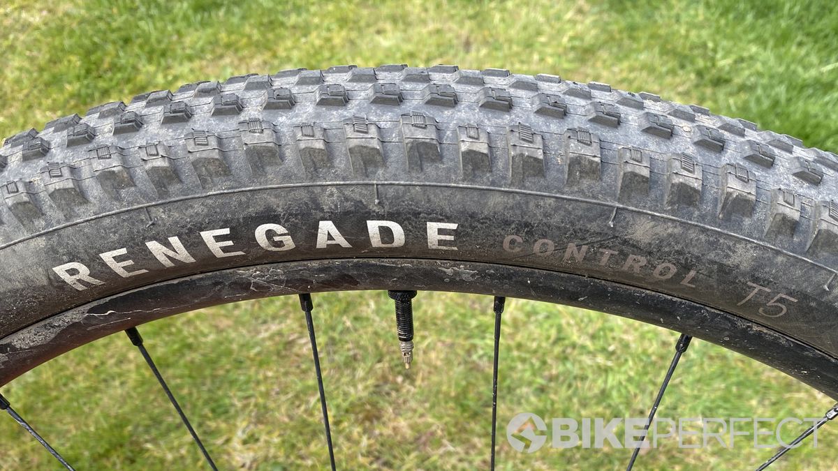 Specialized Renegade