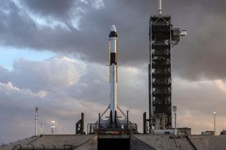 SpaceX's first Crew Dragon and its Falcon 9 rocket stand atop Launch Pad 39A of NASA's Kennedy Space Center in Cape Canveral, Florida ahead of an uncrewed test flight scheduled for January 2019.