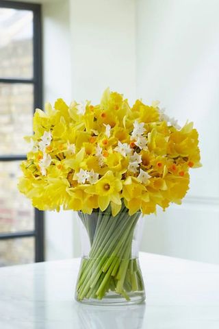 Marks and Spencer 100 Delightful Daffodils & Narcissus - best flower delivery services