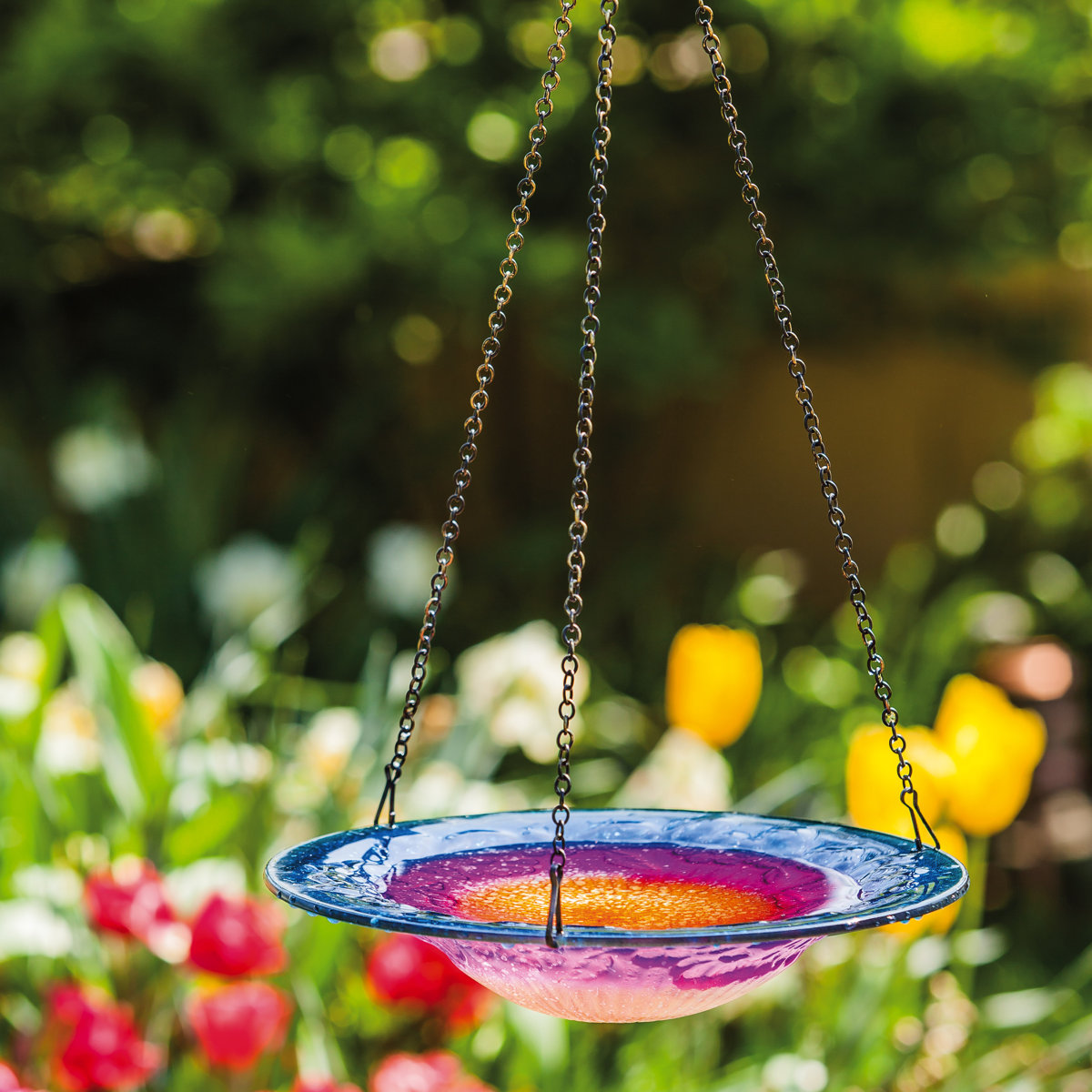 Ebern Designs Amathist Hanging Glass Birdbath &amp;amp; Reviews | Wayfair