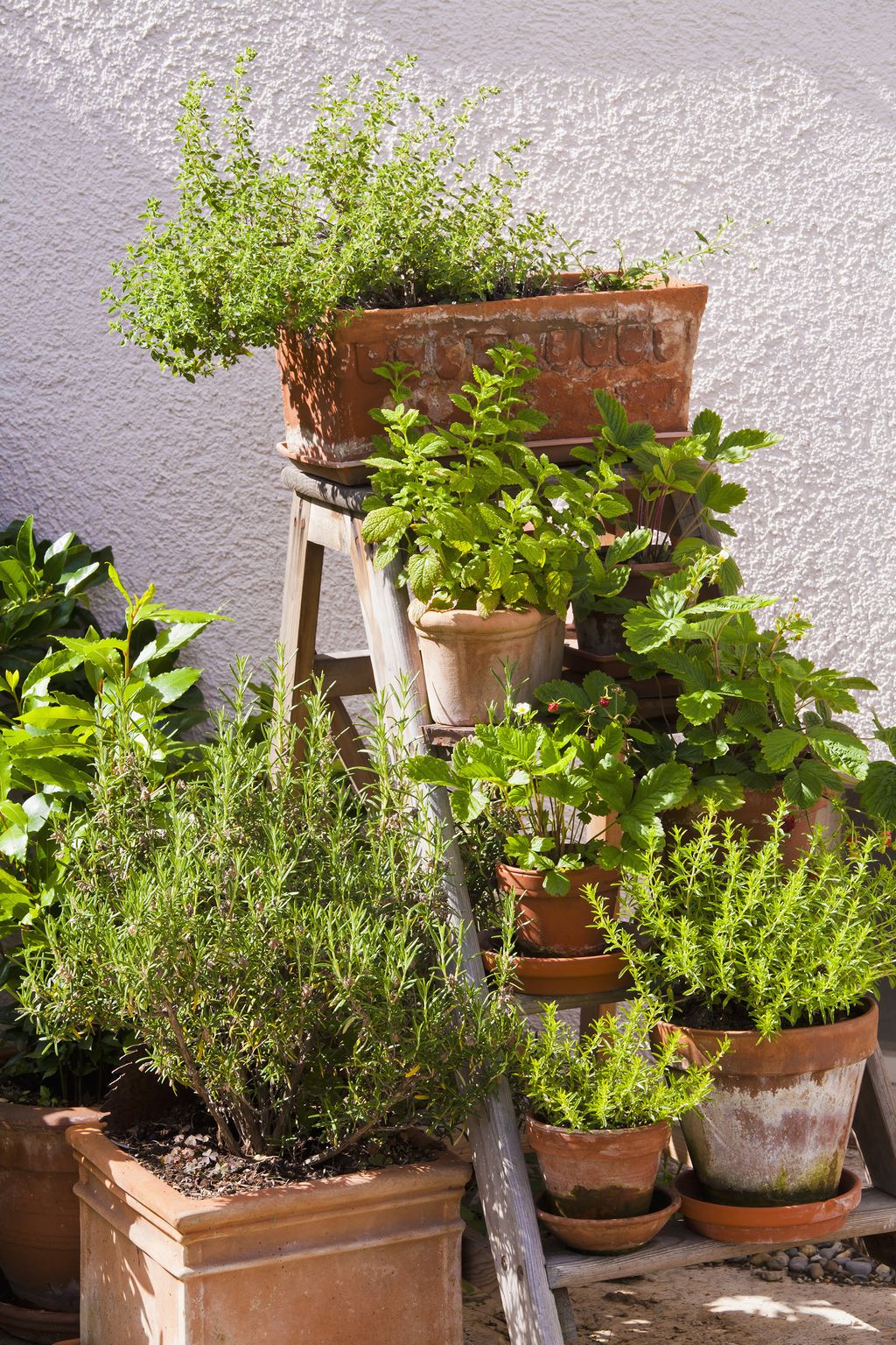 Herb garden ideas: for indoors and outdoors | Country