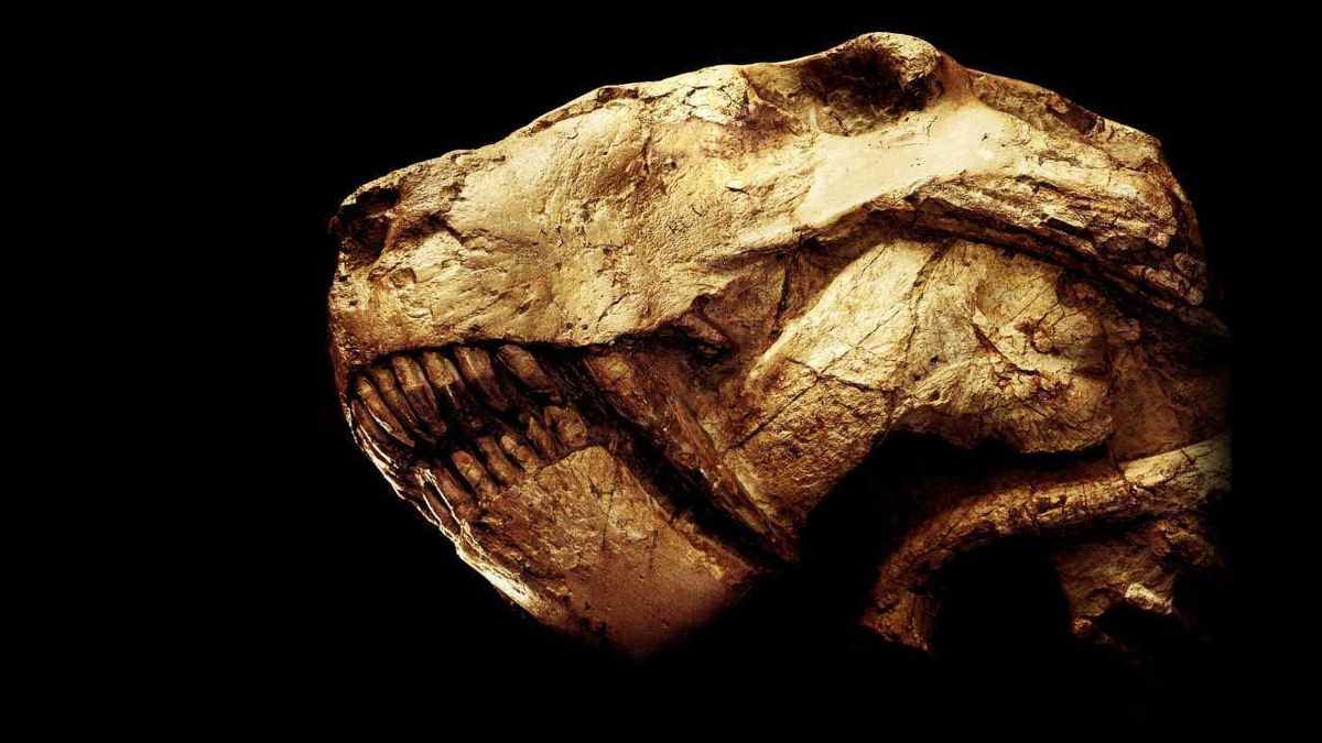 'They seemed primed to take over': How the Great Dying doomed the 'beast tooth' and set the stage for the dawn of the dinosaurs