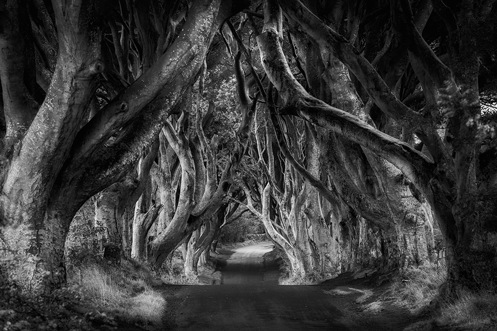 Black-and-white photography: ultimate tips for the perfect shot ...