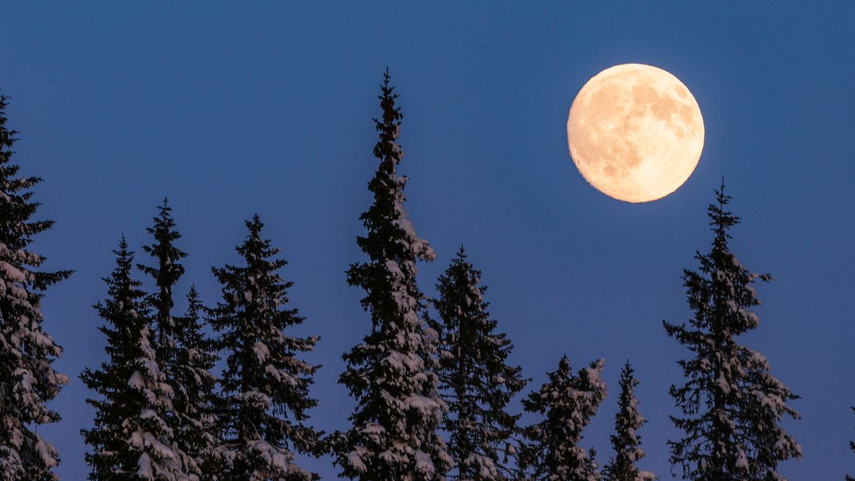 Full Moon December 2023 is set to disrupt the end of the year Woman