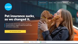 pet insurance