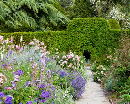 Monty Don warns gardeners not to cut hedges until after August | Real Homes