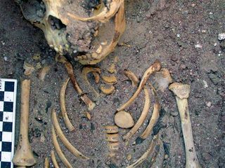 remains of toddler with evidence of child abuse in ancient egypt cemetery.