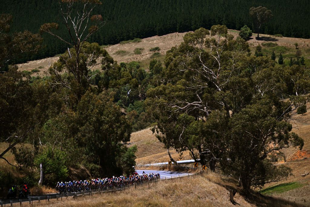 Peloton on stage 1 of Women's Tour Down Under