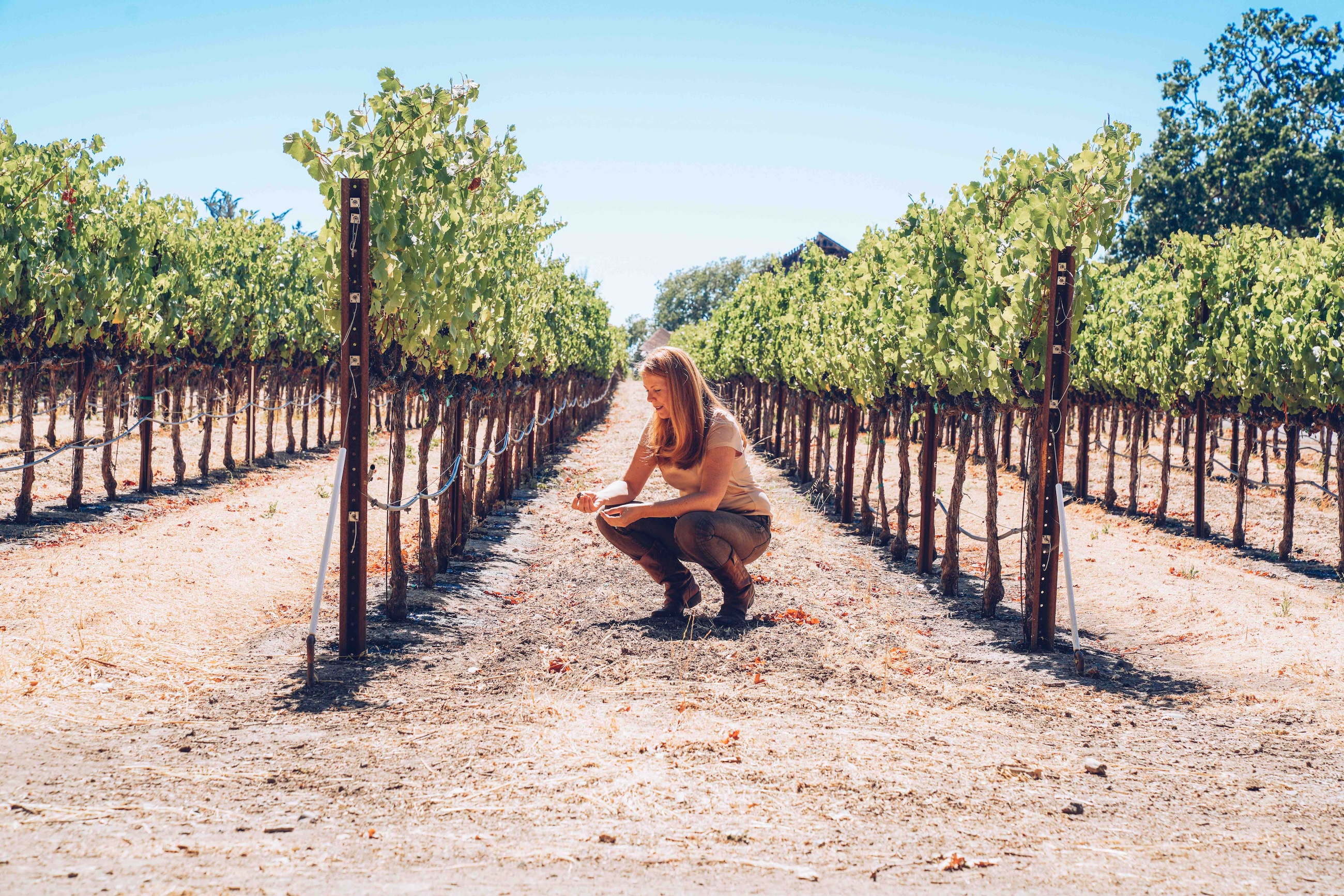 Angels &amp;amp; Cowboys winemaker Ondine Chattan in a vineyard kneeling to check the soil conditions.