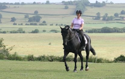 bring your horse back to work