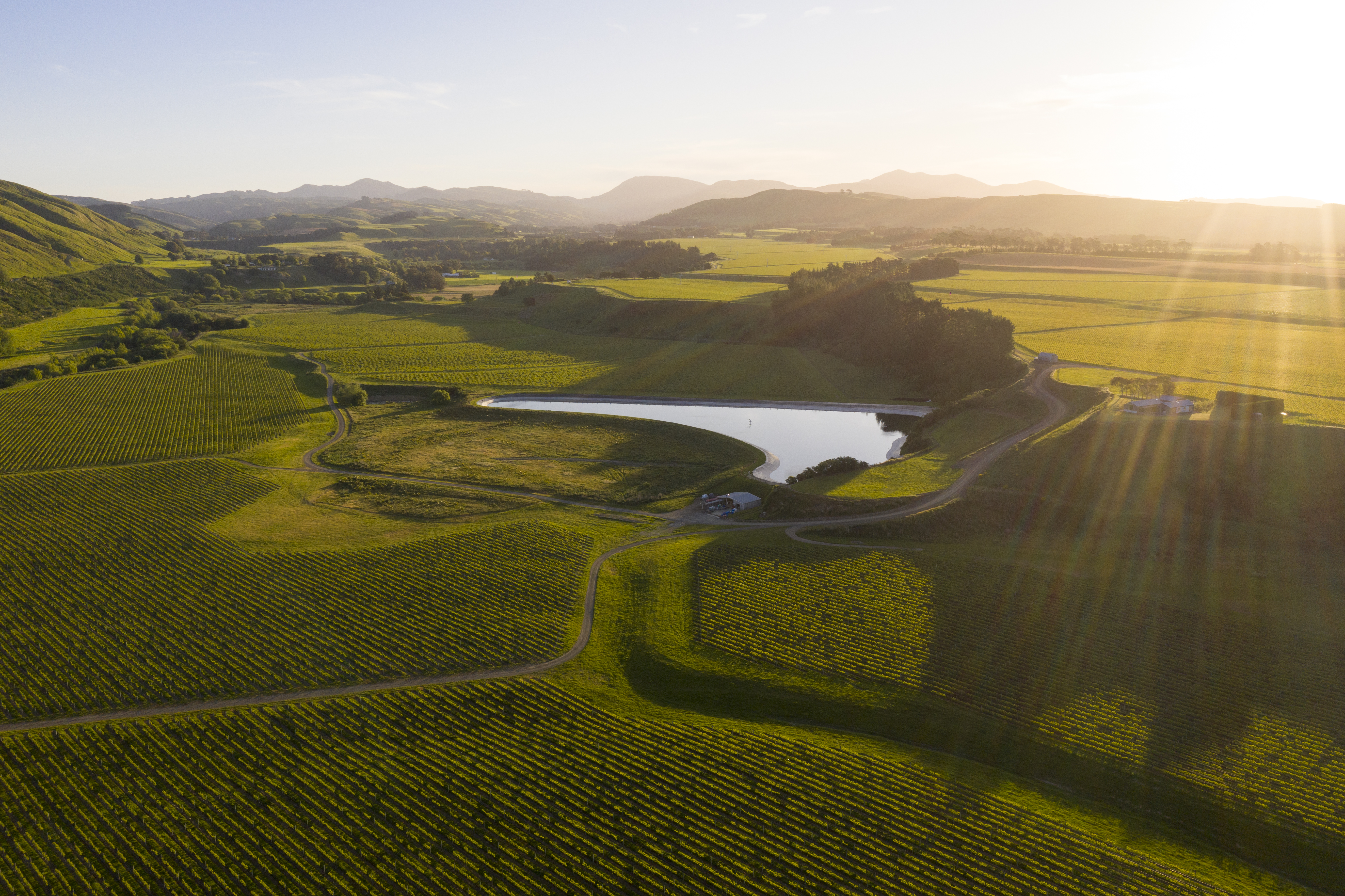Te Muna Vineyard in Martinborough