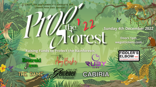 Prog The Forest