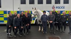 Police Horse Hexam stands in front of the police horse lorry with his human colleagues.