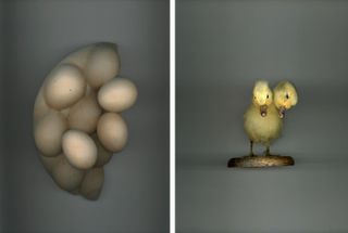 Left, Eggs, 2013 and right, Two-Headed Chick, 2015