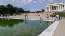 Visitors observe the algae-covered reflecting pool at the Lincoln Memorial. 