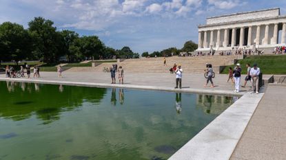 Visitors observe the algae-covered reflecting pool at the Lincoln Memorial. 