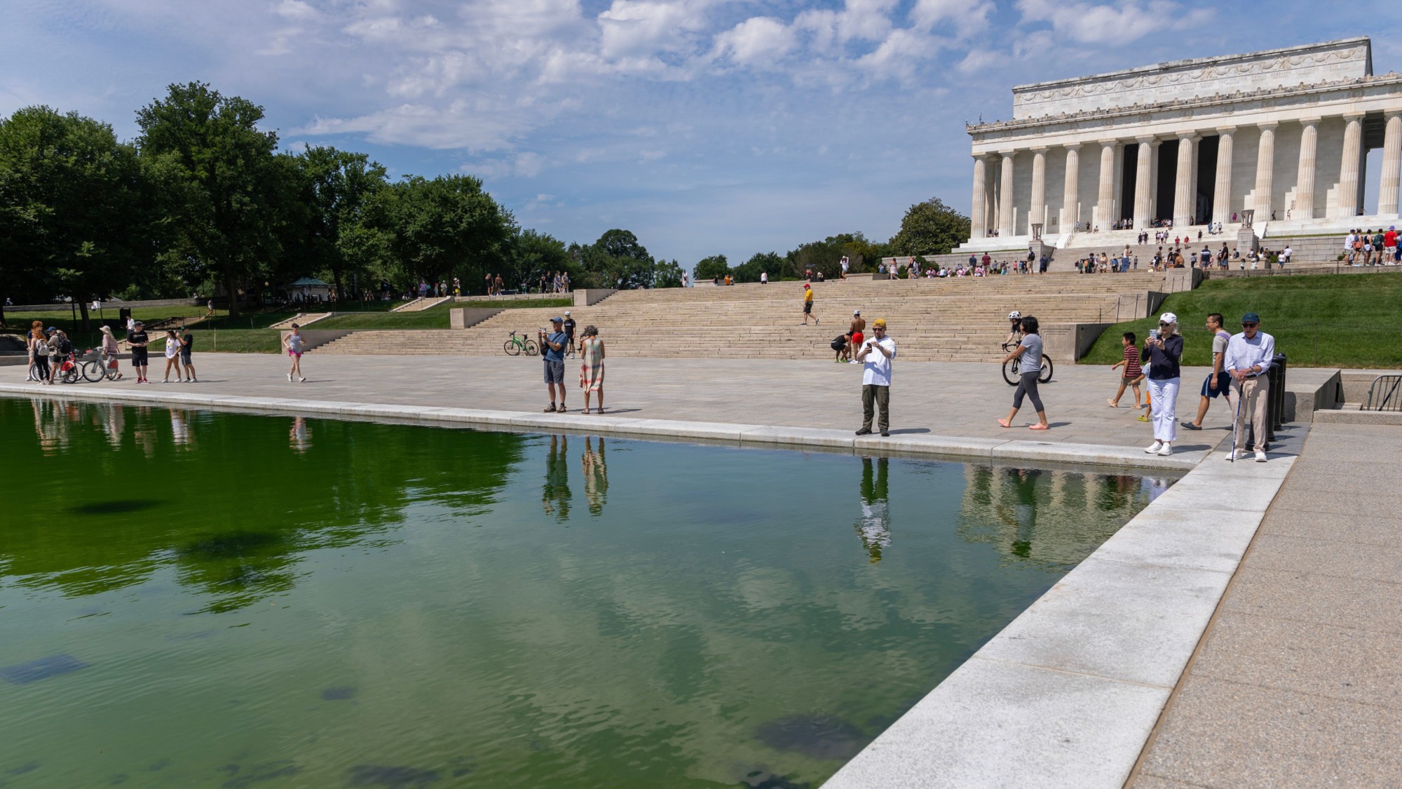 Visitors observe the algae-covered reflecting pool at the Lincoln Memorial. 
