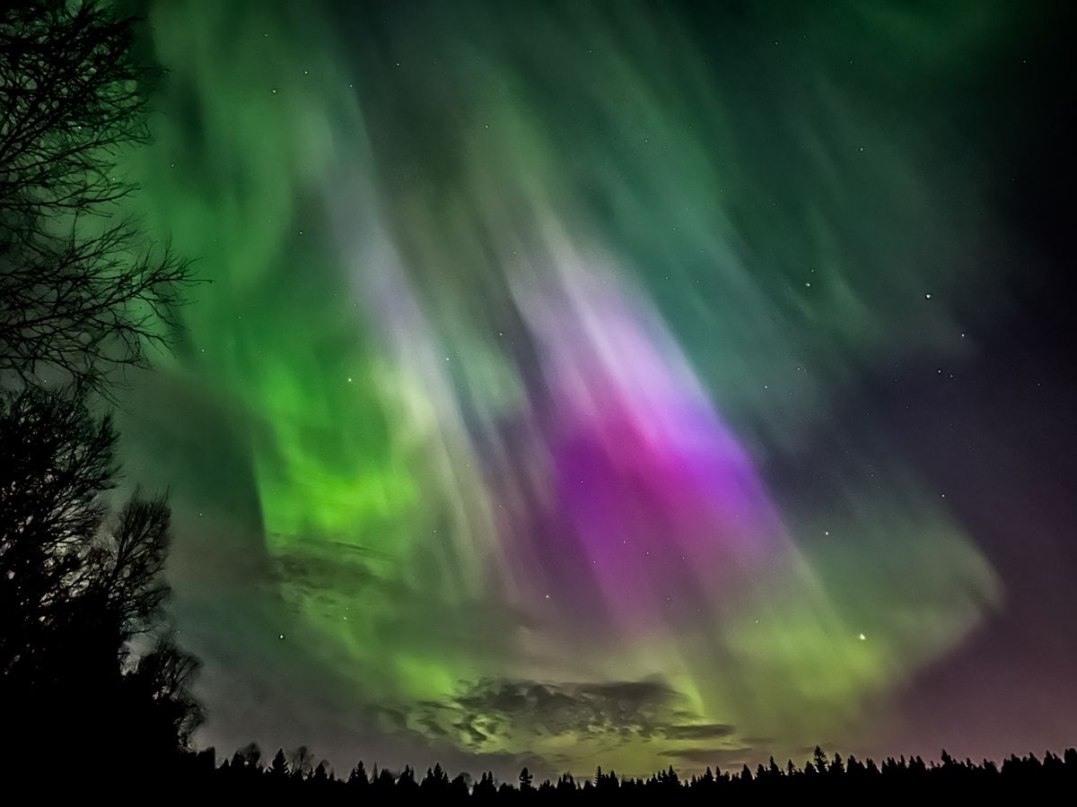 dancing ribbons of light fill the sky as the northern lights put on a show in Finland.