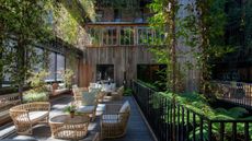 A wide shot of an outdoor terrace with wooden flooring, wall panelling and wicker furniture. All around are large windows overhung with long trailing plants.