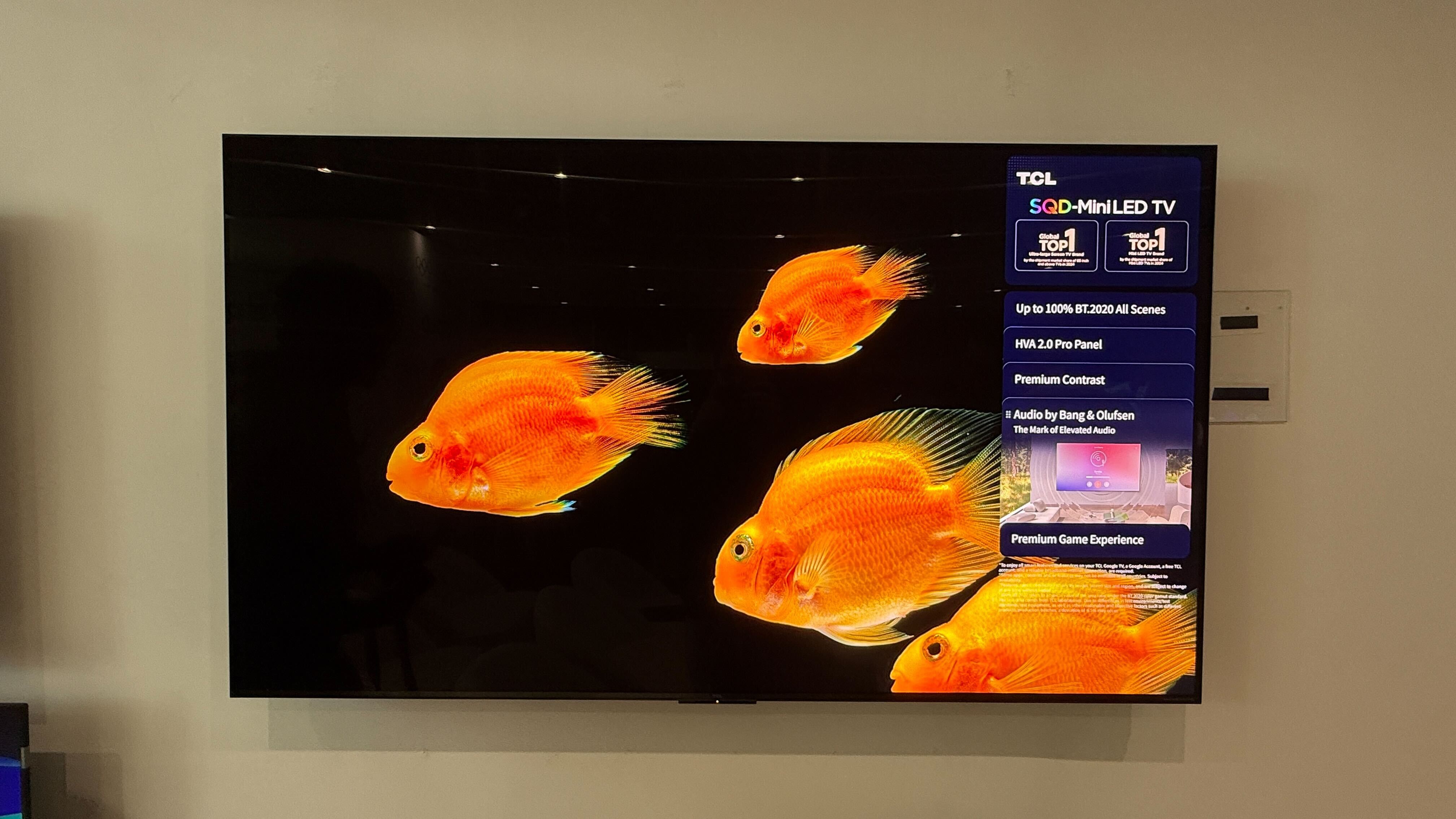 Wall-mounted TCL C7L with vibrant demo content on screen