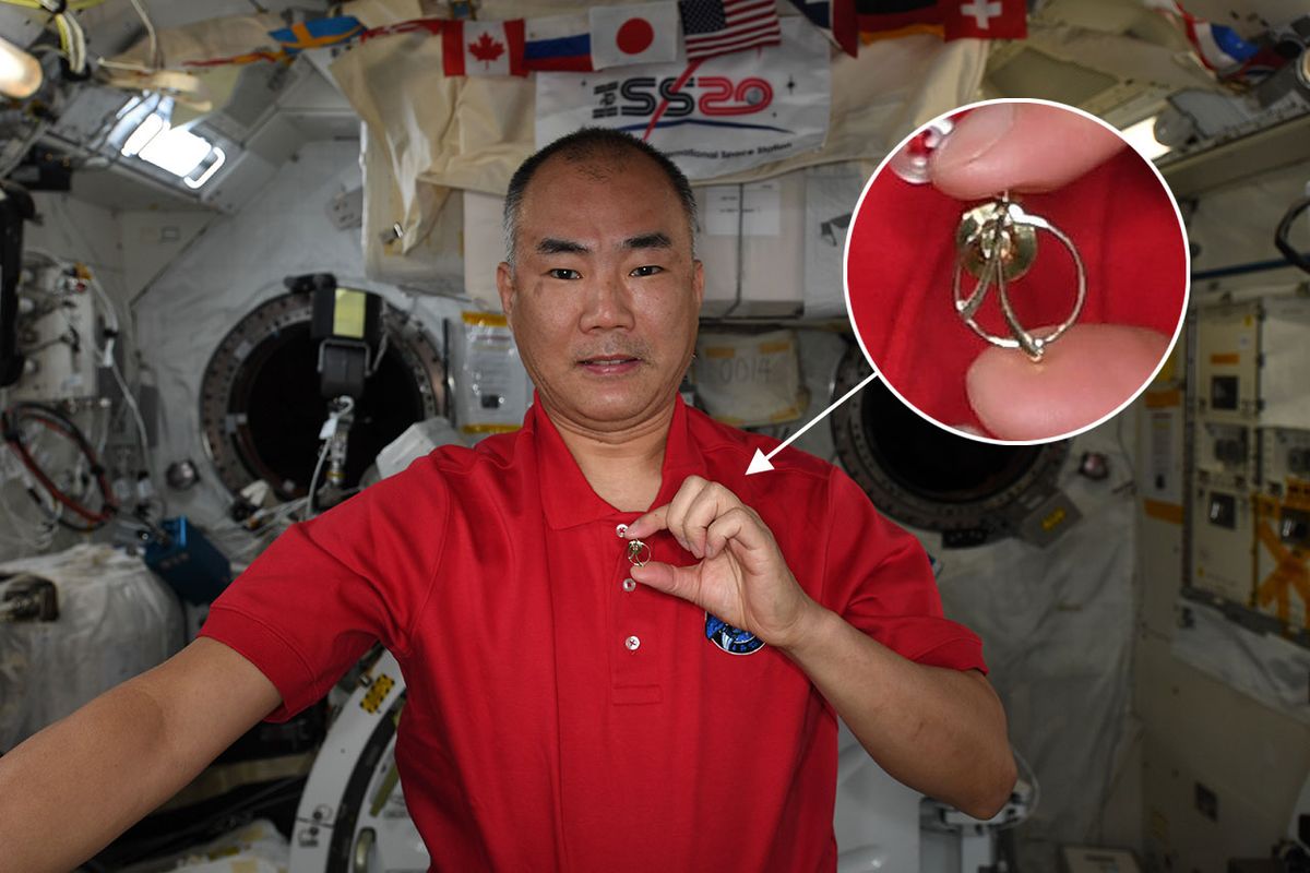 Universal Astronaut Insignia to unite world space explorers and travelers